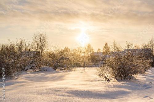 Sun over a snowy meadow at the edge of a village in winter