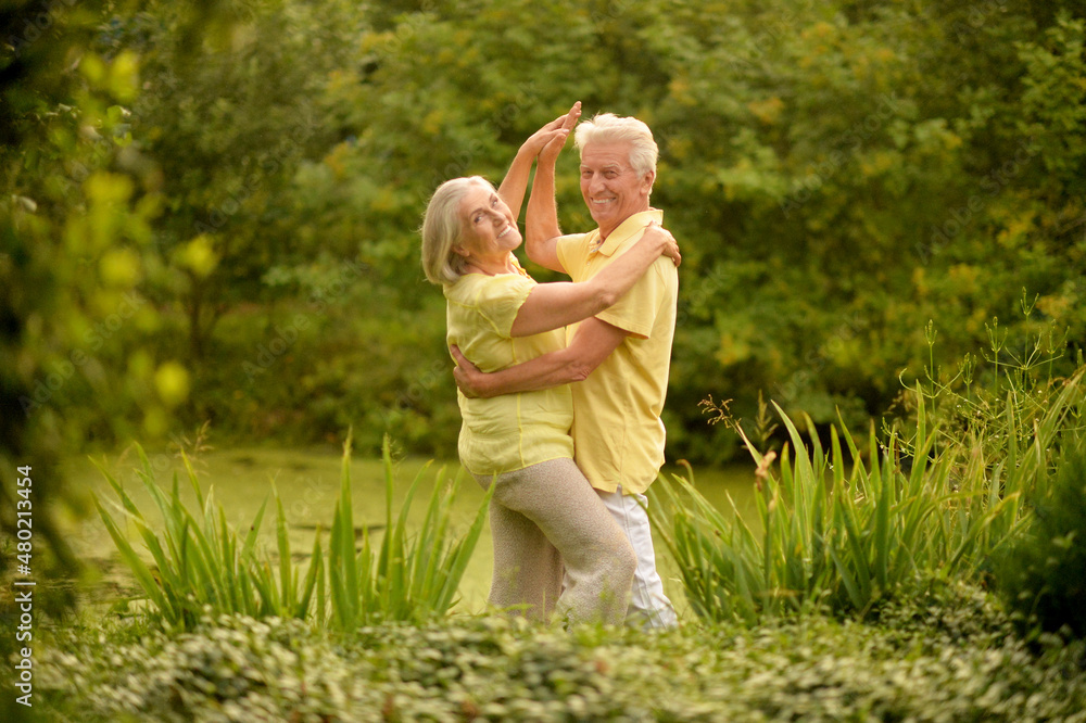 Fototapeta premium Portrait of happy senior couple dancing and posing in summer park