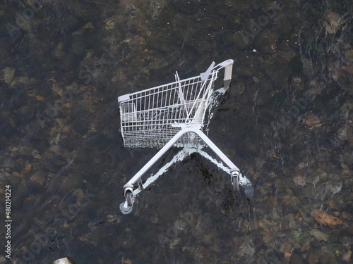 Obraz na płótnie Einkaufswagen im Fluss
