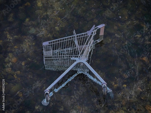 Obraz na płótnie Einkaufswagen im Fluss