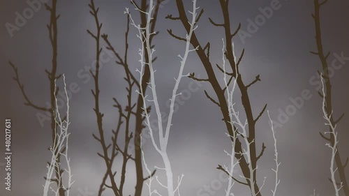 video of tree branches swaying in the wind in positive and negative