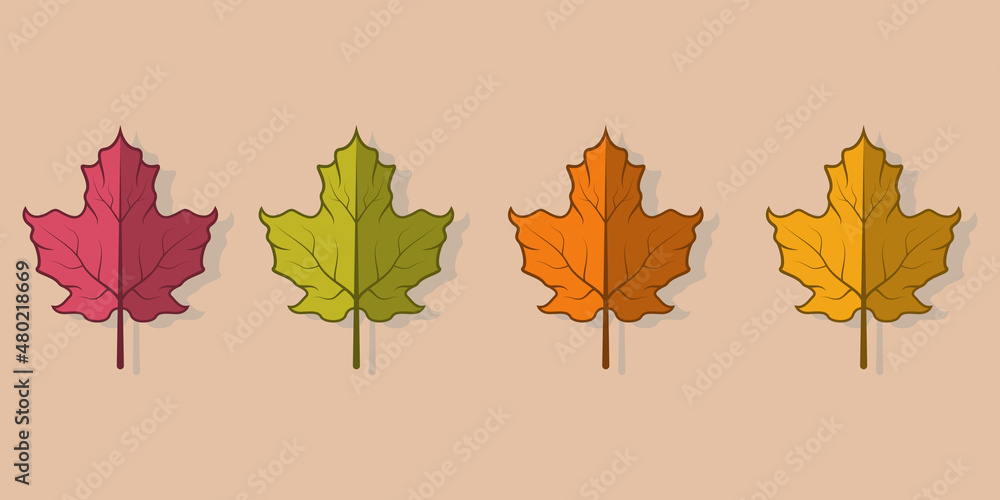 Autumn leaves multicolor, simple cartoon flat style, isolated vector illustration.