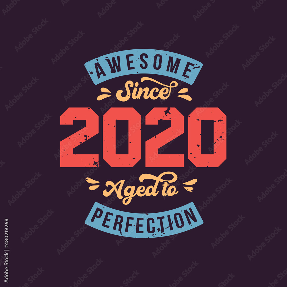Awesome since 2020 Aged to Perfection. Awesome Birthday since 2020 Retro Vintage