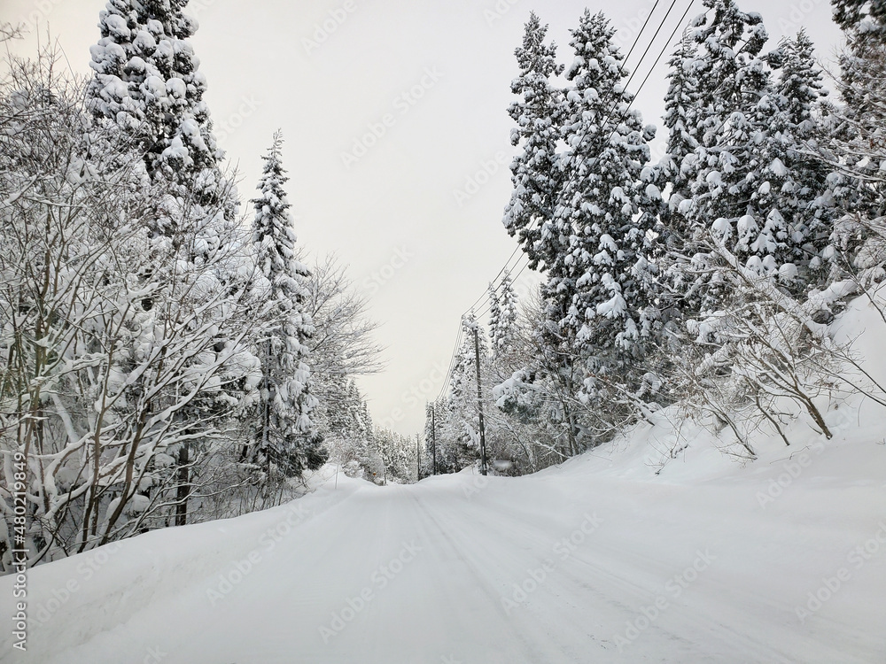 Obraz premium 一面雪に覆われた山道