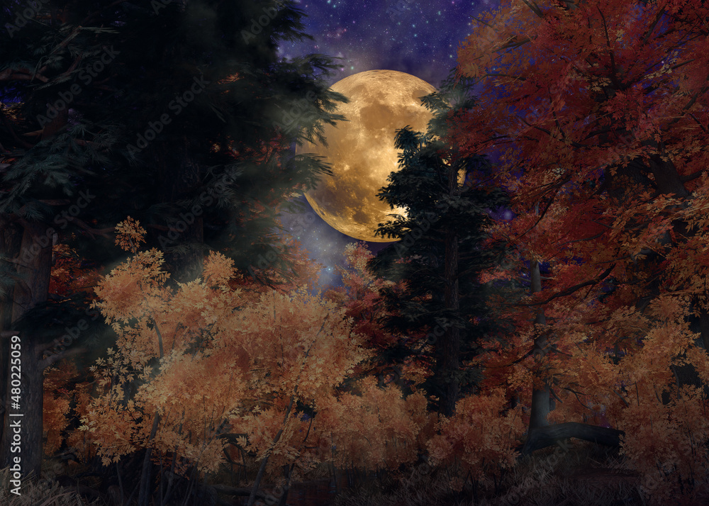 3D Night autumn forest and full moon 3D Night autumn forest and full moon