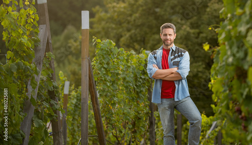 vineyard owner standing at winery among grape farm, copy space, winemaker photo