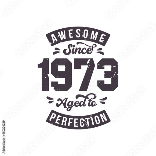 Born in 1973 Awesome Retro Vintage Birthday, Awesome since 1973 Aged to Perfection
