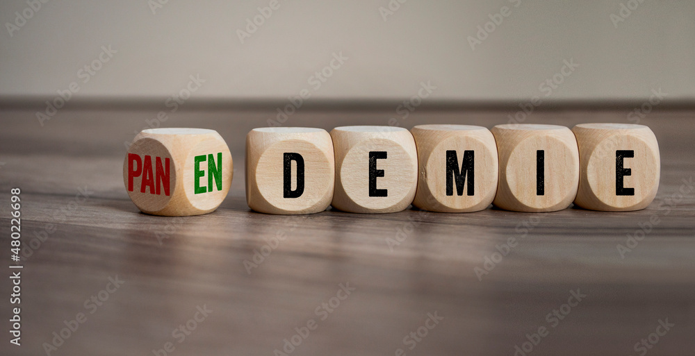 Cubes, dice or blocks with the german words for pandemic and endemic - pandemie und endemie on wooden background - obrazy, fototapety, plakaty 