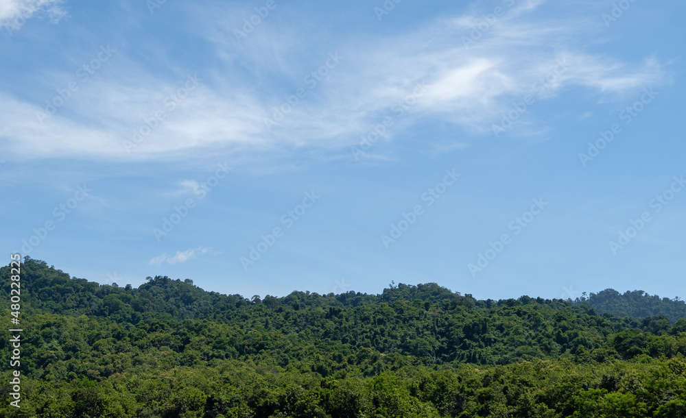 The tropical forest range near the edge of the national park.