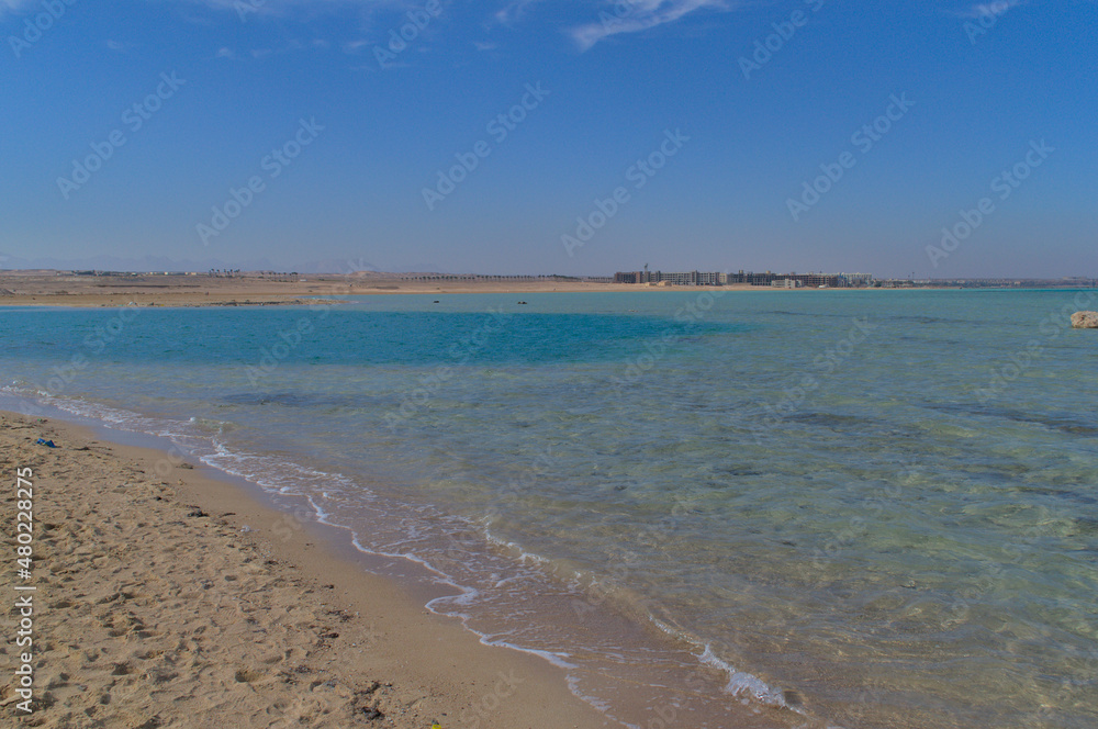 Fototapeta premium Sandy wild beach of the Red Sea. Deserted beach.