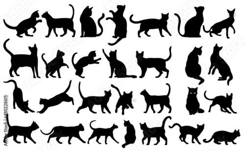 Fototapeta Naklejka Na Ścianę i Meble -  cats set silhouette on white background, vector