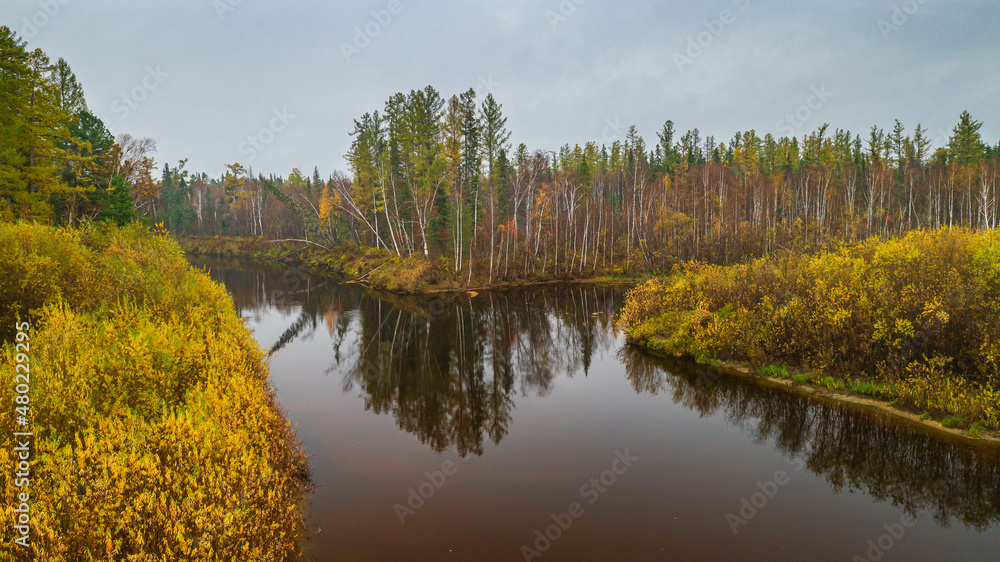 Fototapeta premium autumn landscape in the taiga with a river