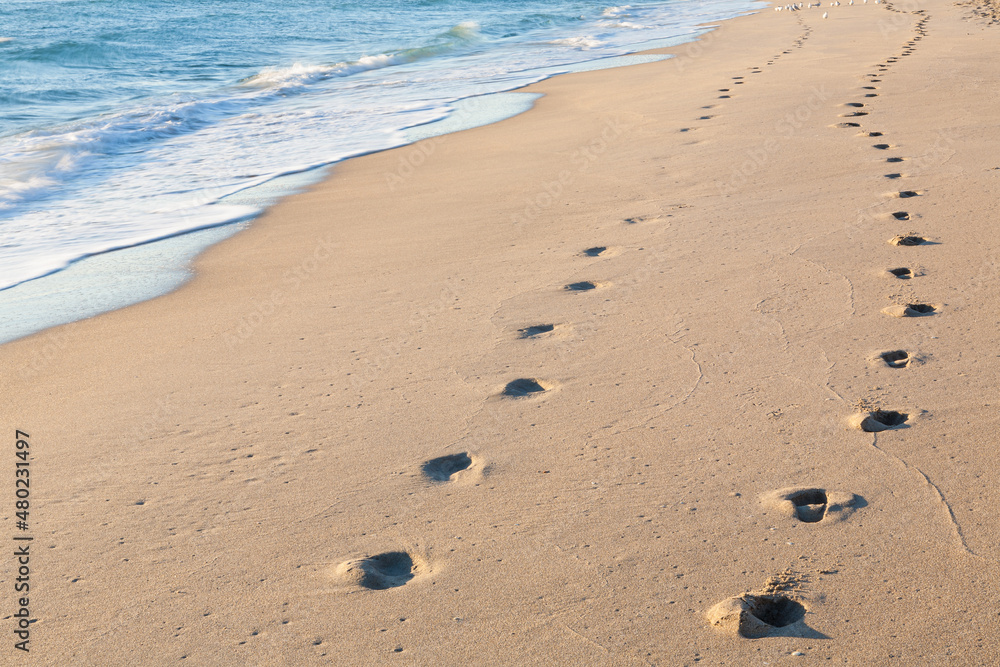 Jogger footprints along the beach shoreline in the early morning Jogger footprints along the beach shoreline in the early morning