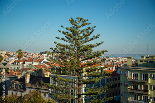 PORTUGAL LISBON CITY CHIADO photo