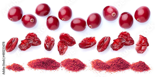 Fresh cranberry with powder and dry berries on white background photo