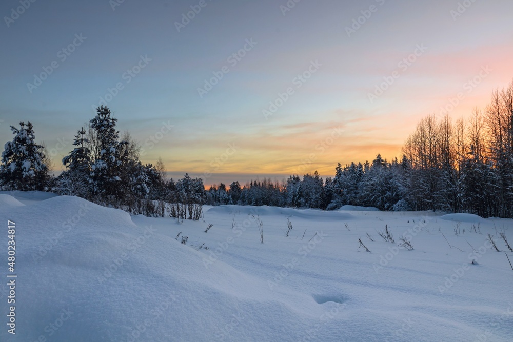 Winter morning in the forest with snow-covered trees, dawn. Travel concept Winter morning in the forest with snow-covered trees, dawn. Travel concept