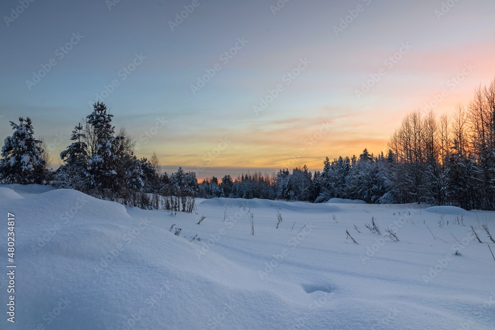 Winter morning in the forest with snow-covered trees, dawn. Travel concept