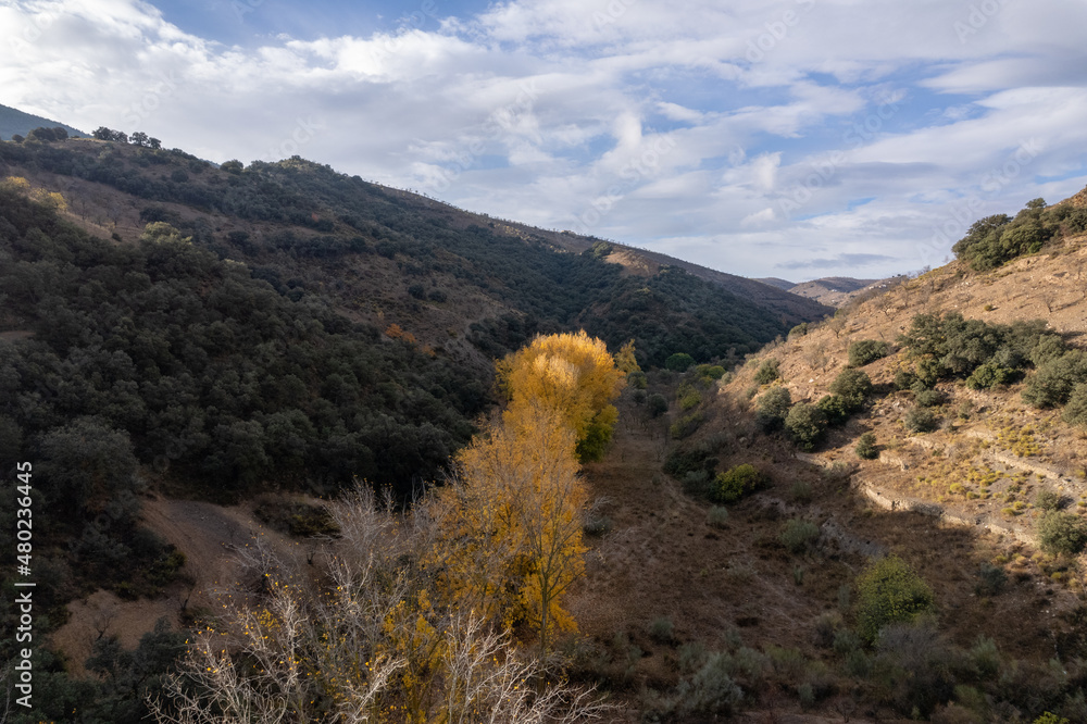trees in a valley in the south of Spain