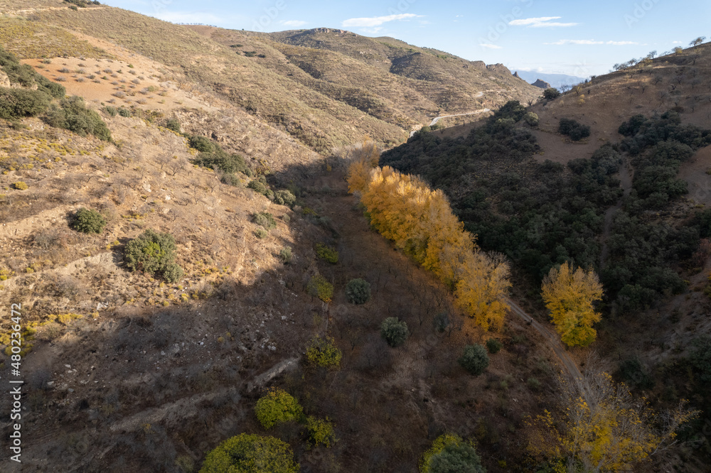 Obraz premium trees in a valley in the south of Spain