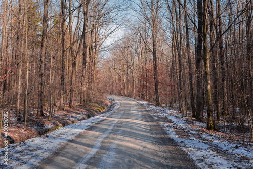 The unpaved road through the leafless forest on a sunny winter's day