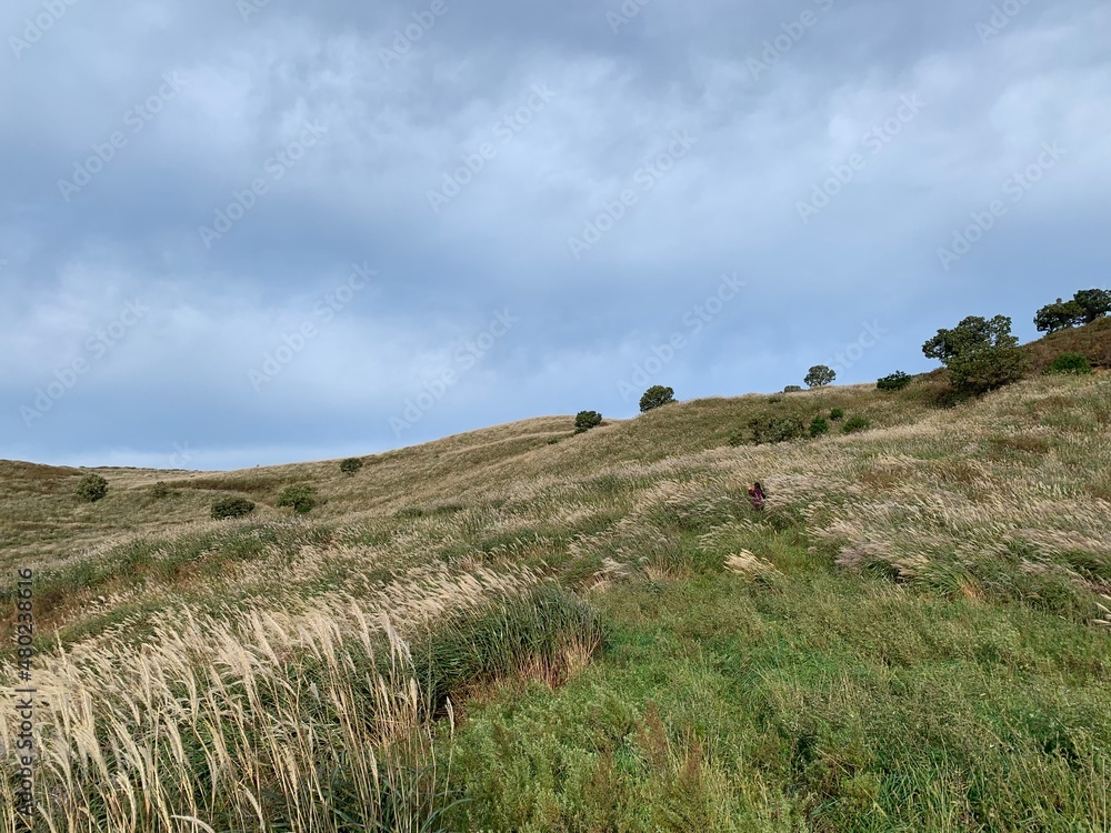 9월 가을의 황매산, 한국 억새가 아름다운 명산 풍경 / Hwangmaesan Mountain in the fall of September, famous mountain scenery with beautiful Korean silver grass 9월 가을의 황매산, 한국 억새가 아름다운 명산 풍경 / Hwangmaesan Mountain in the fall of September, famous mountain scenery with beautiful Korean silver grass