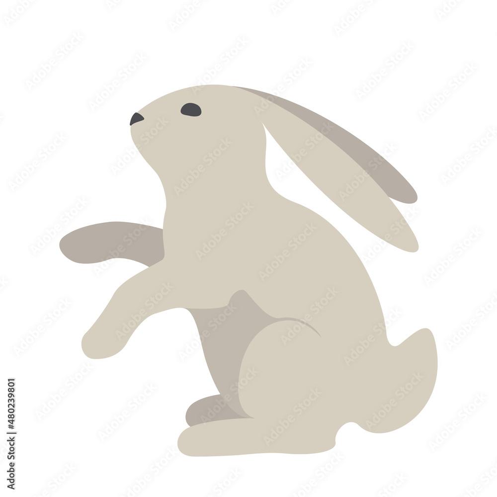 Fototapeta premium Rabbit 3