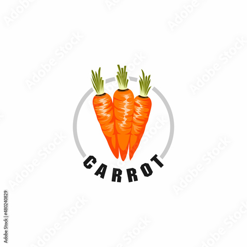 Carrot illustration logo. ripe orange carrots