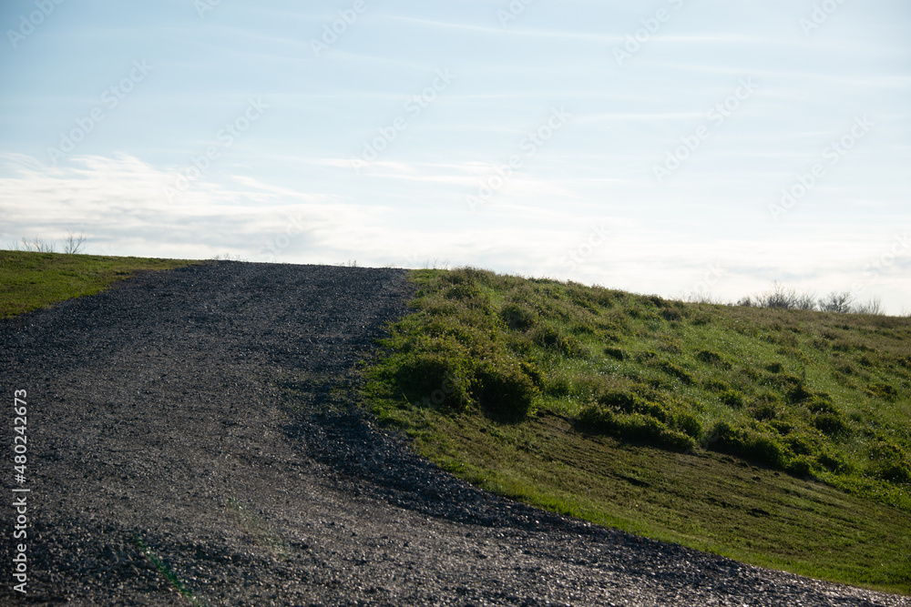 Obraz premium road in the field