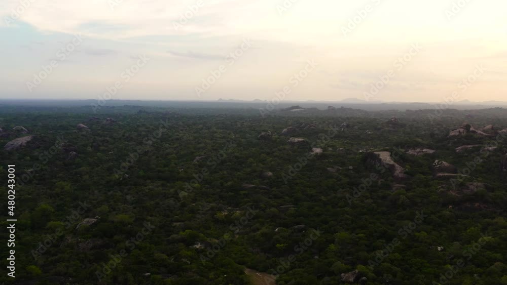 Aerial drone of Sunset over the jungle on the background of mountains in the national park of Sri Lanka. Aerial drone of Sunset over the jungle on the background of mountains in the national park of Sri Lanka.