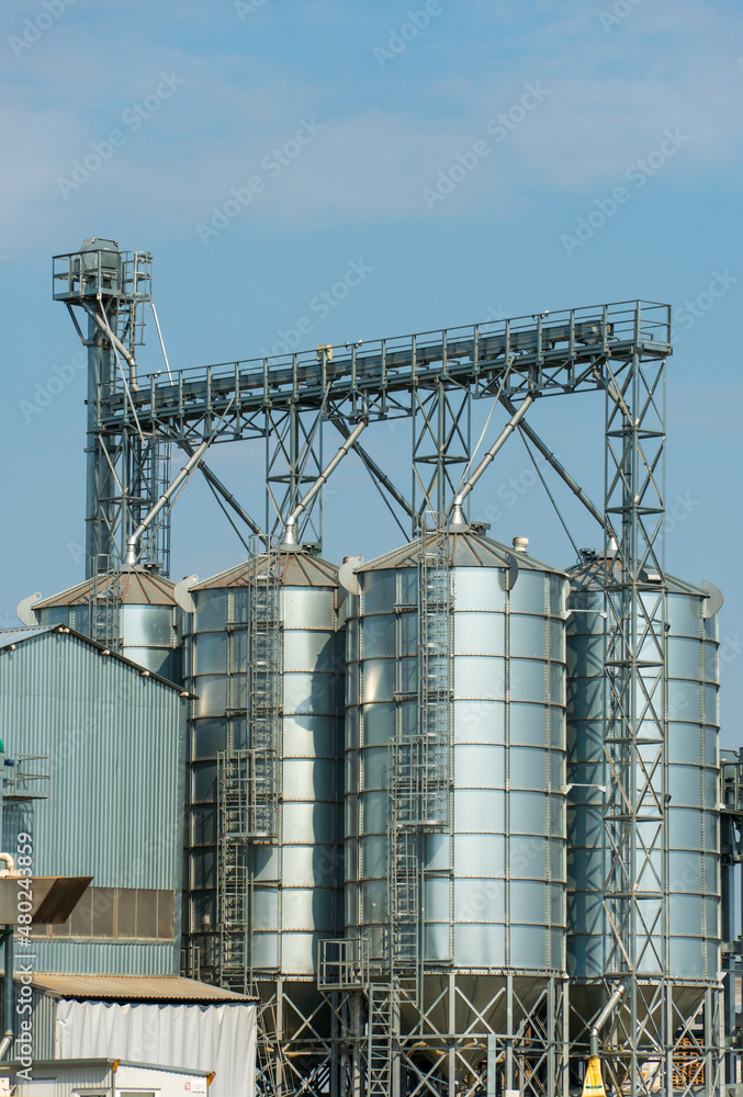 silver silos on agro manufacturing plant for processing drying cleaning and storage of agricultural products, flour, cereals and grain. Large iron barrels of grain. Granary elevator