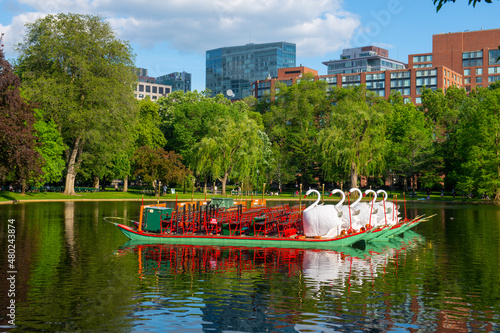 Swan Paddle boat at Public Garden in Boston, Massachusetts MA, USA.