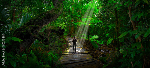Fototapeta Naklejka Na Ścianę i Meble -  Explorer observing a jungle landscape