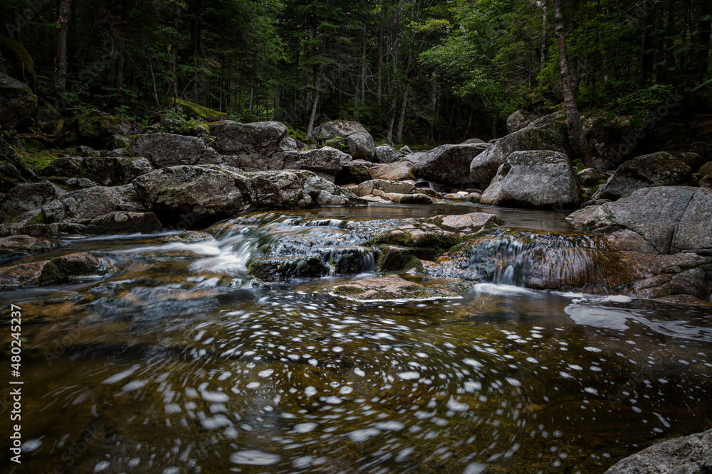 Trail to Lonesome Lake, White Mountains, New Hampshire Trail to Lonesome Lake, White Mountains, New Hampshire