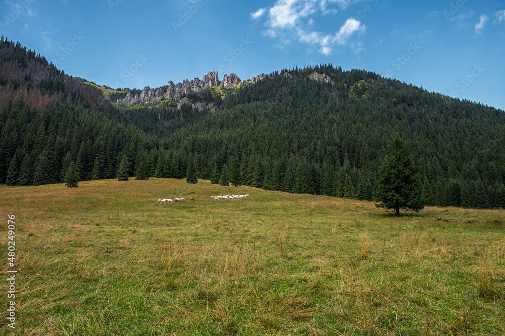 Mnichy Chochołowskie - długi rząd turni, które znajdują się w Tatrach Zachodnich. Poniżej na polanie wypasa się stado owiec