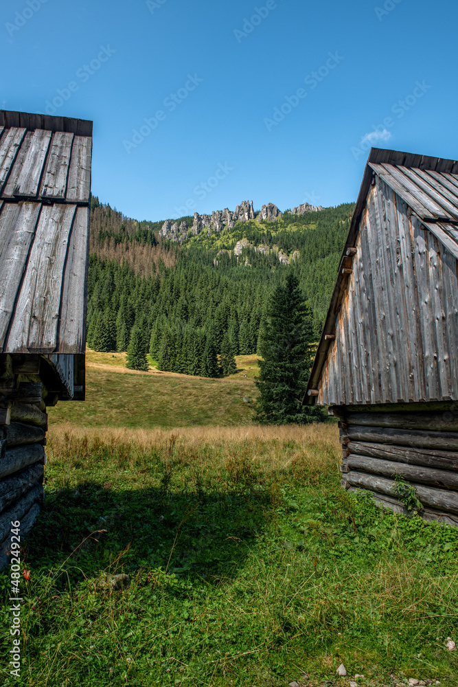 Przepiękne malownicze krajobrazy w dolinie Chochołowskiej. Widok na szczyty - Mnichy Chochołowskie - obrazy, fototapety, plakaty 