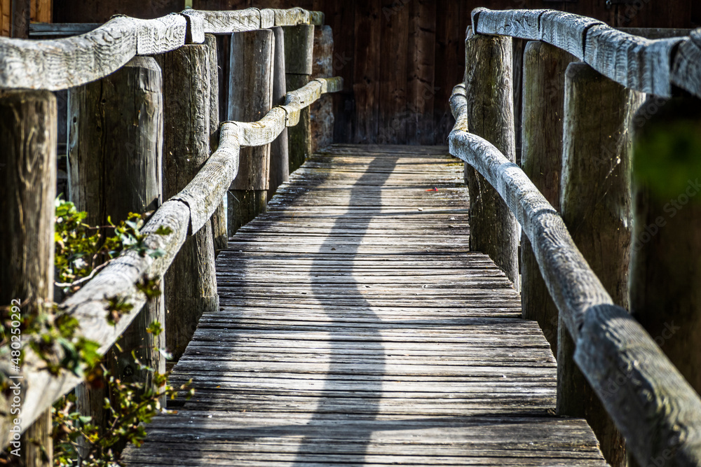 wooden footbridge at a park