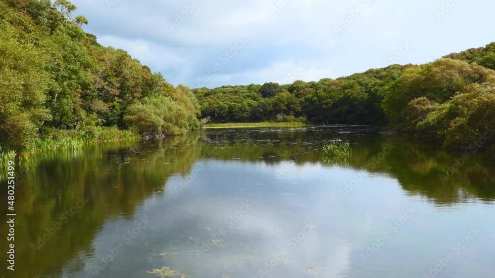 The sky reflected in a pond surrounded by forest. The sky reflected in a pond surrounded by forest.