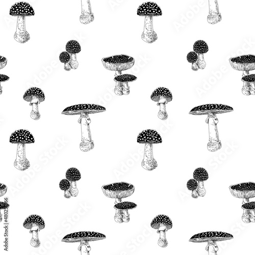 Photos Mushrooms fly agaric hand drawn seamless pattern