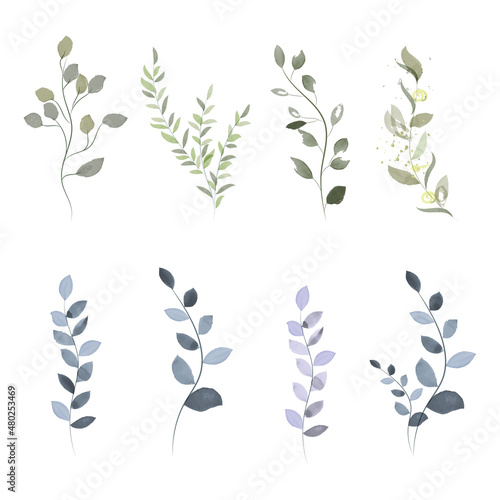 Foto Green watercolor plants, botanic elements
plants for your illustrration and wedd