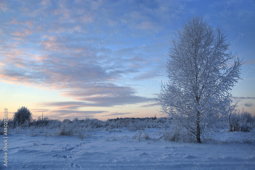 Beautiful winter landscape in the evening Beautiful winter landscape in the evening