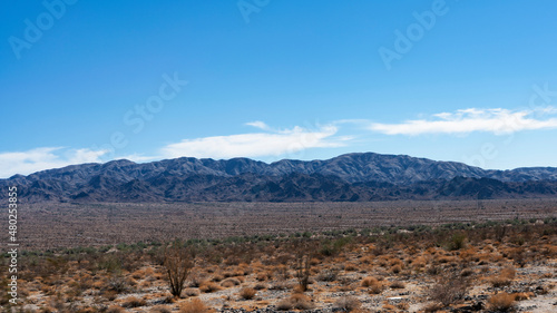 Desert landscape - desolate stretch of Colorado desert in southern California