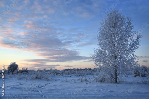 Beautiful winter landscape in the evening