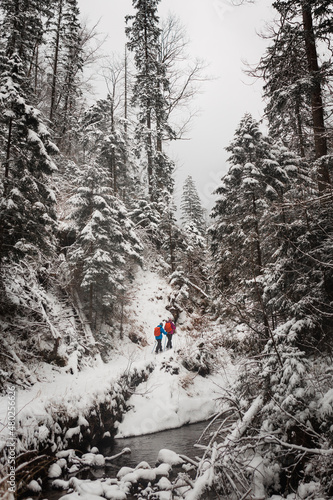 Couple hiking in the mountains in the snowy forest 