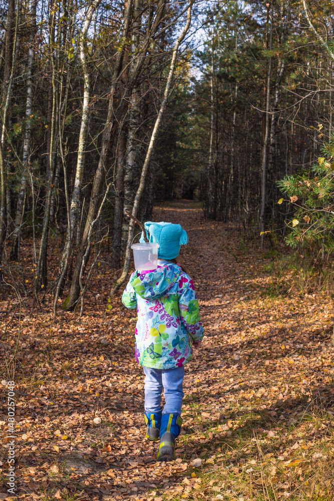 child walking in autumn forest child walking in autumn forest