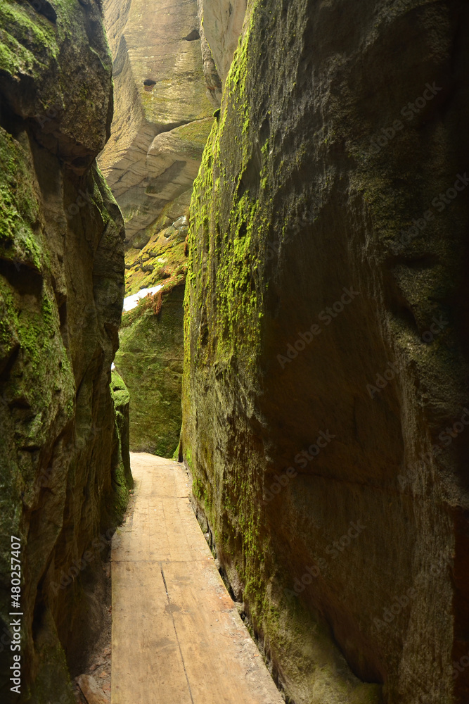 Fototapeta premium Adrspach