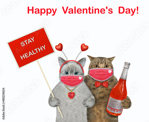 Two cats in love with a sign and a bottle of red wine wears face masks. White background. Isolated.