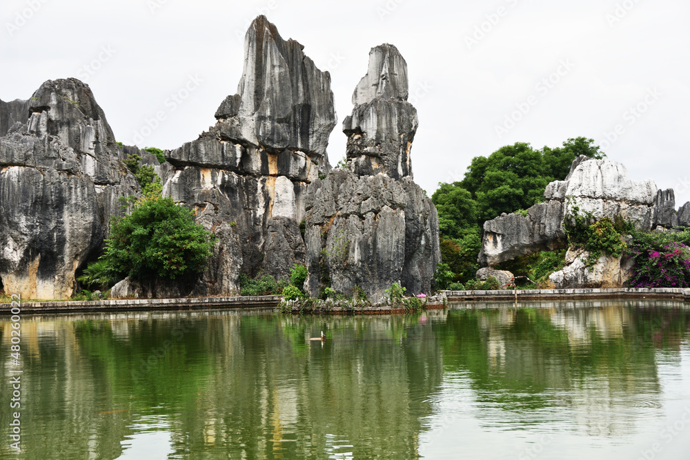 Stone Forest, or Shilin in Chinese