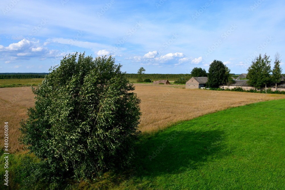 A view of a freshly harvested or mown field, meadow or pastureland located in the midle of nowhere, with some trees, shrubs, and other flora visible on a Polish countryside during a summer day A view of a freshly harvested or mown field, meadow or pastureland located in the midle of nowhere, with some trees, shrubs, and other flora visible on a Polish countryside during a summer day