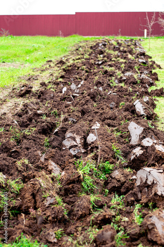 A strip of plowed land in a garden plot in early spring. Soil preparation for planting crops