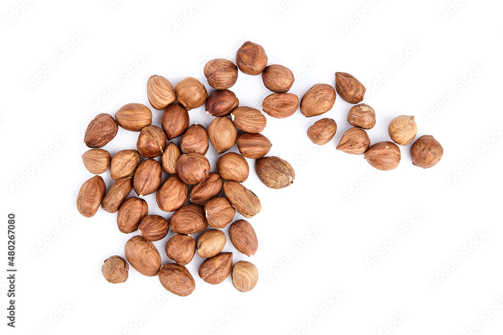 Raw shelled hezelnuts or filberts isolated on white Raw shelled hezelnuts or filberts isolated on white
